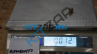 ���� ����� �����