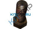 ���� 12��  